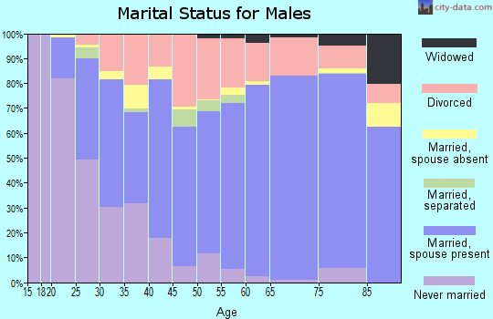 Gilmer County marital status for males