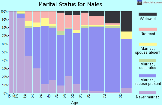 Ashe County marital status for males