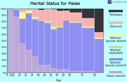 Newaygo County marital status for males