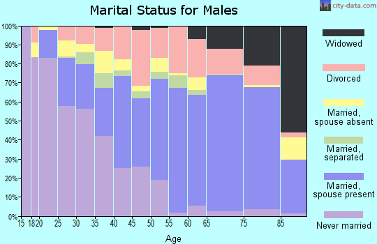 DeWitt County marital status for males