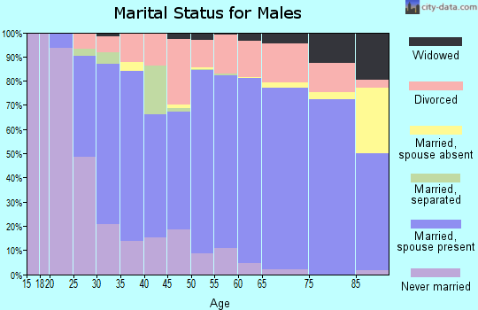 Mason County marital status for males