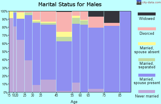 Hunterdon County marital status for males
