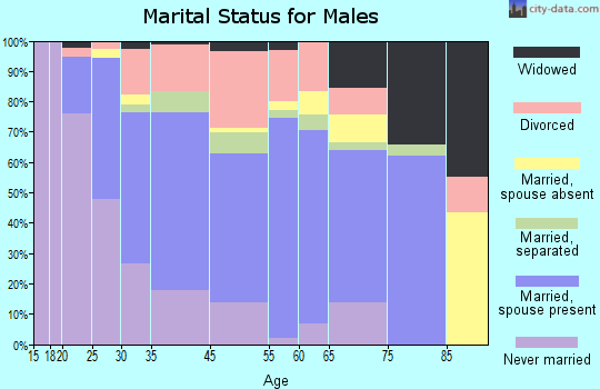 Clinton County marital status for males