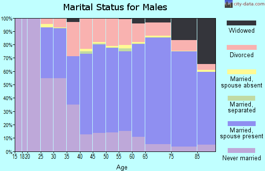 Vilas County marital status for males