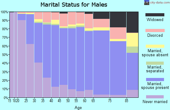 Porter County marital status for males