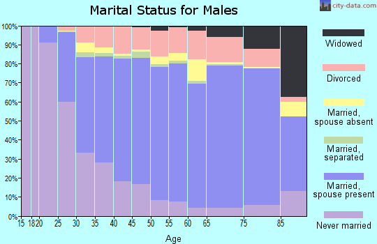 Bedford County marital status for males