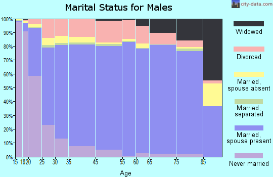 Adams County marital status for males