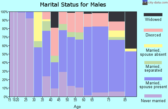 Dimmit County marital status for males