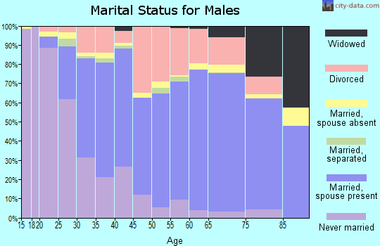 Ogemaw County marital status for males