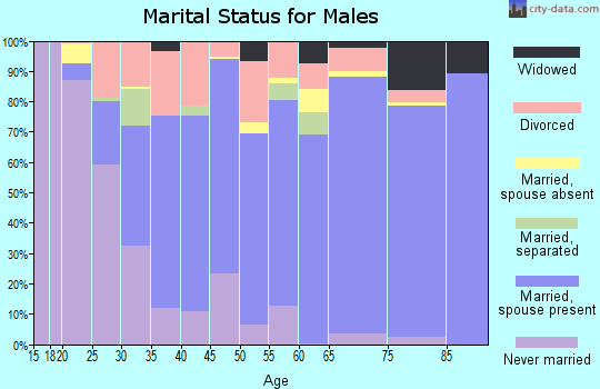 Smith County marital status for males