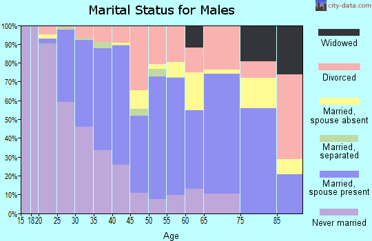 Ketchikan Gateway Borough marital status for males