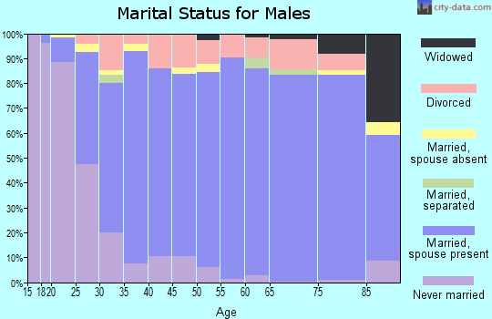 Archer County marital status for males