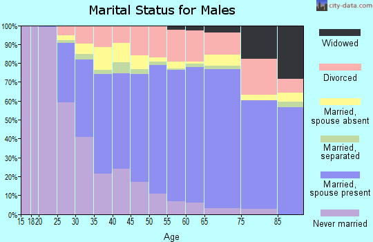 Rice County marital status for males