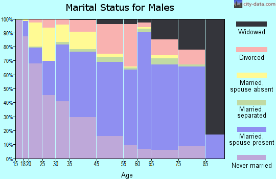 Ferry County marital status for males