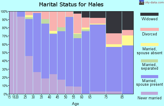 Adair County marital status for males