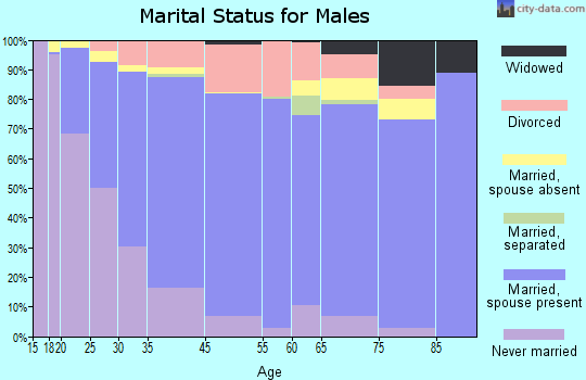Clay County marital status for males