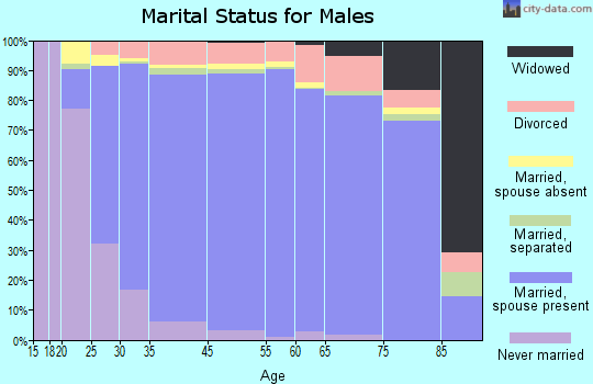 Bibb County marital status for males