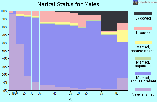 Christian County marital status for males