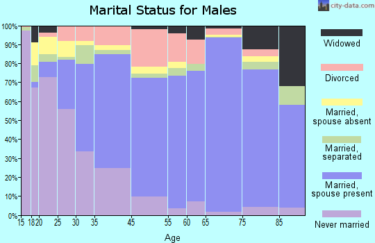 Clay County marital status for males