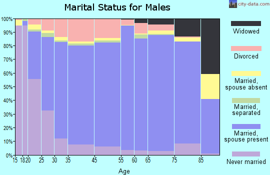 Buena Vista County marital status for males