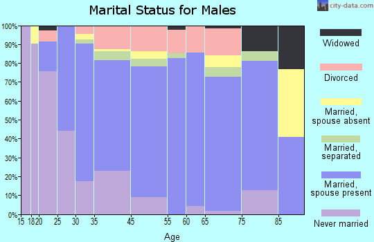Piscataquis County marital status for males