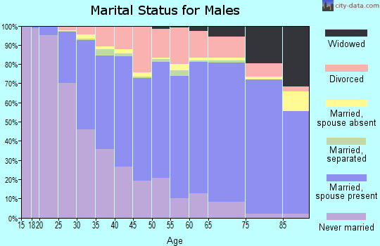 Peoria County marital status for males