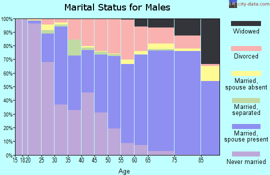 Roscommon County marital status for males