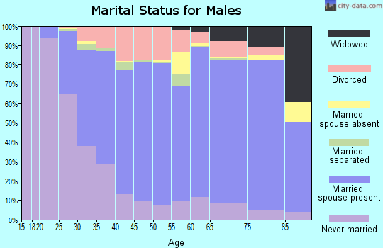 Sibley County marital status for males