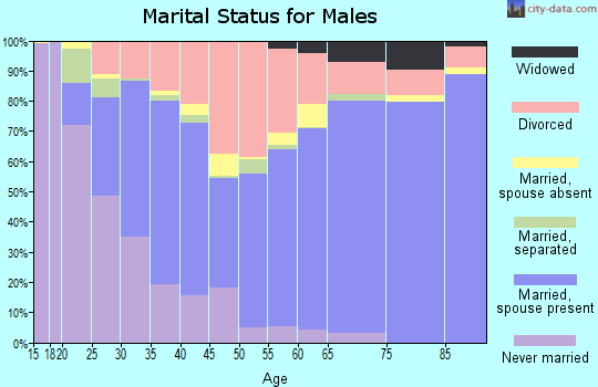Rhea County marital status for males