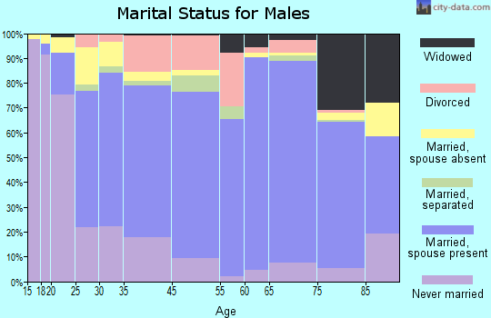 Burt County marital status for males