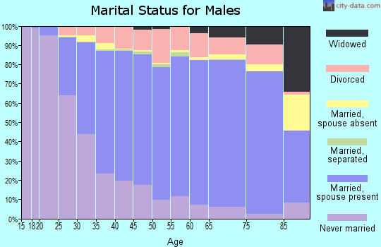 Stearns County marital status for males