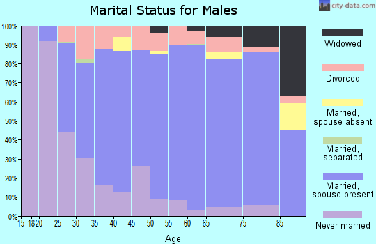 Piatt County marital status for males