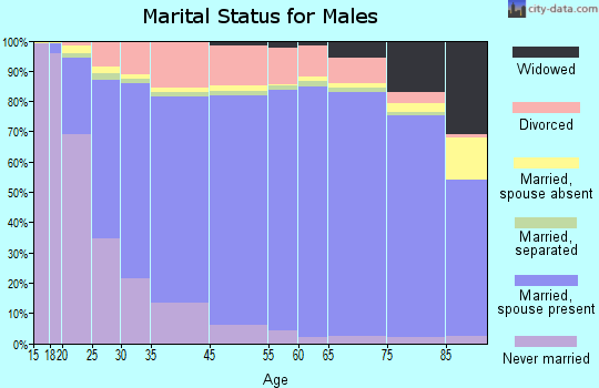 Cochise County marital status for males