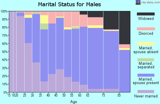Palo Alto County marital status for males