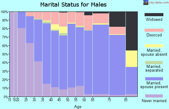 Steele County marital status for males