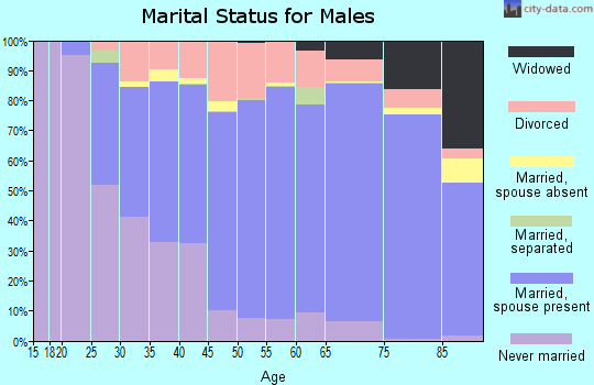 Bureau County marital status for males