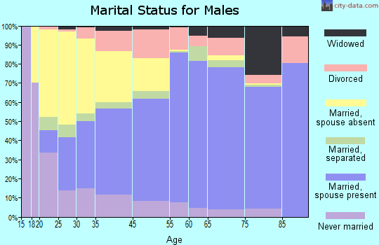 Cambria County marital status for males
