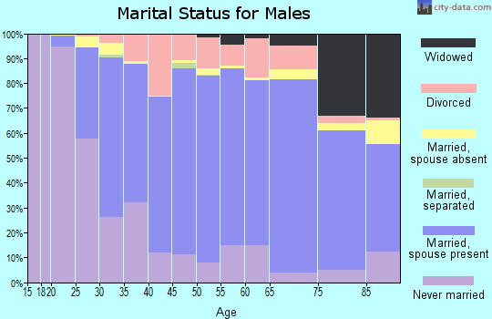 Swift County marital status for males