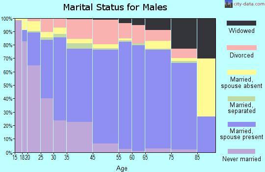 Bastrop County marital status for males