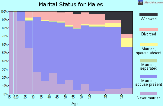 Todd County marital status for males