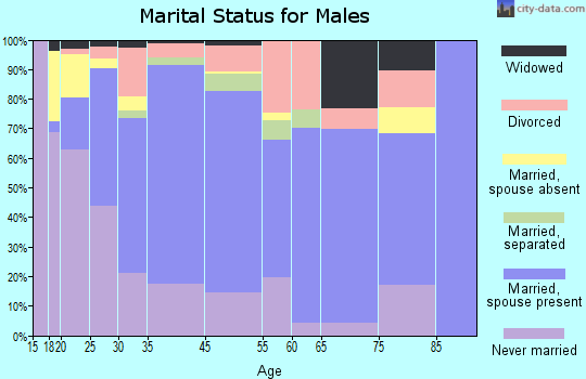 Rutland County marital status for males
