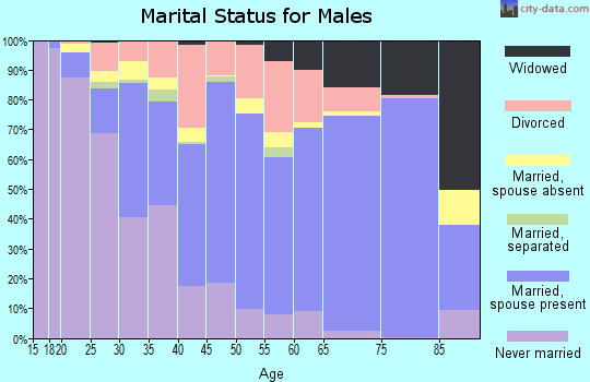 Marion County marital status for males