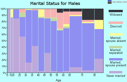 Webster County marital status for males