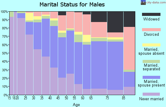 Robeson County marital status for males
