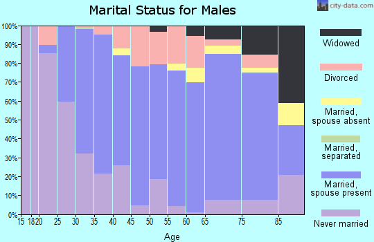 Republic County marital status for males