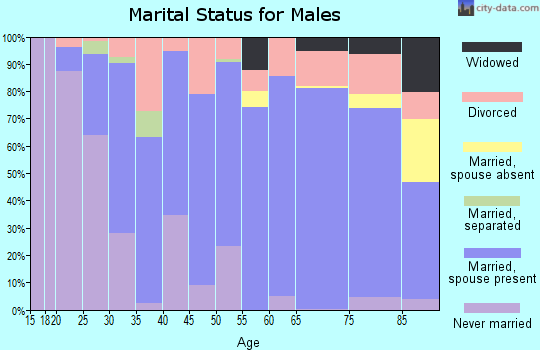 Ringgold County marital status for males