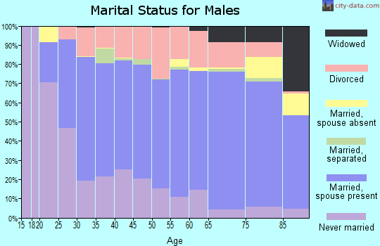 Wadena County marital status for males