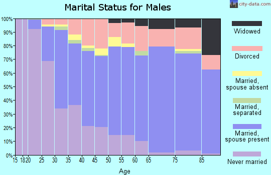 Rock Island County marital status for males