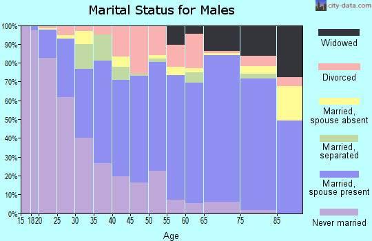 Mason County marital status for males