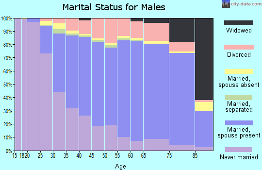 Washtenaw County marital status for males